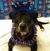 Tippy July 10.jpg